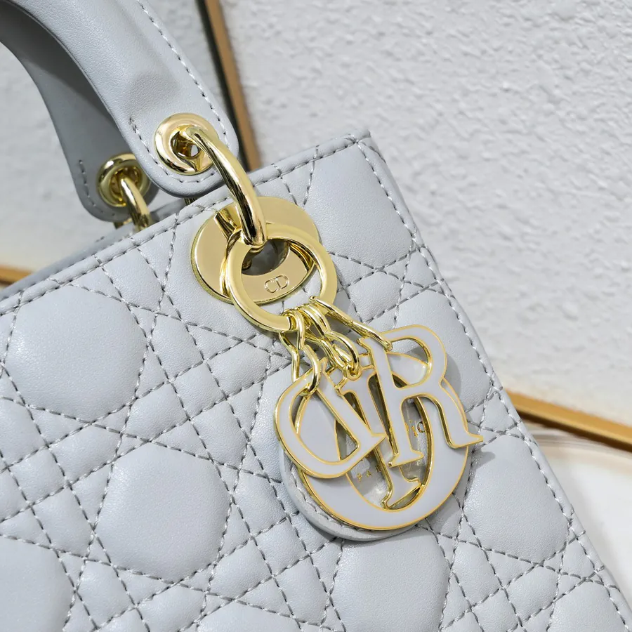 Lady Dio.r Four Compartment Calfskin Bag with Engraved Clasp