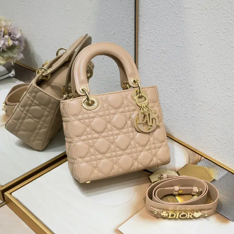 Lady Dio.r Four Compartment Calfskin Bag with Engraved Clasp