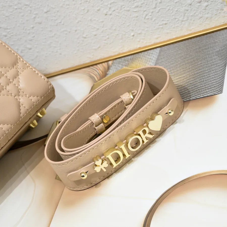 Lady Dio.r Four Compartment Calfskin Bag with Engraved Clasp