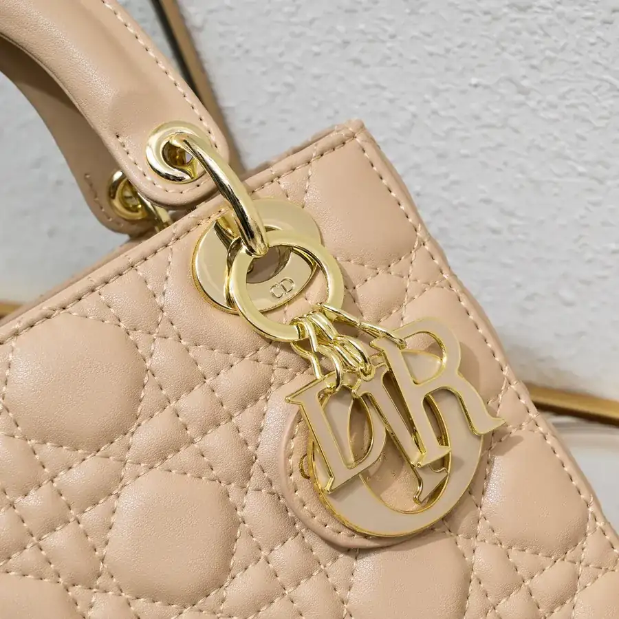 Lady Dio.r Four Compartment Calfskin Bag with Engraved Clasp