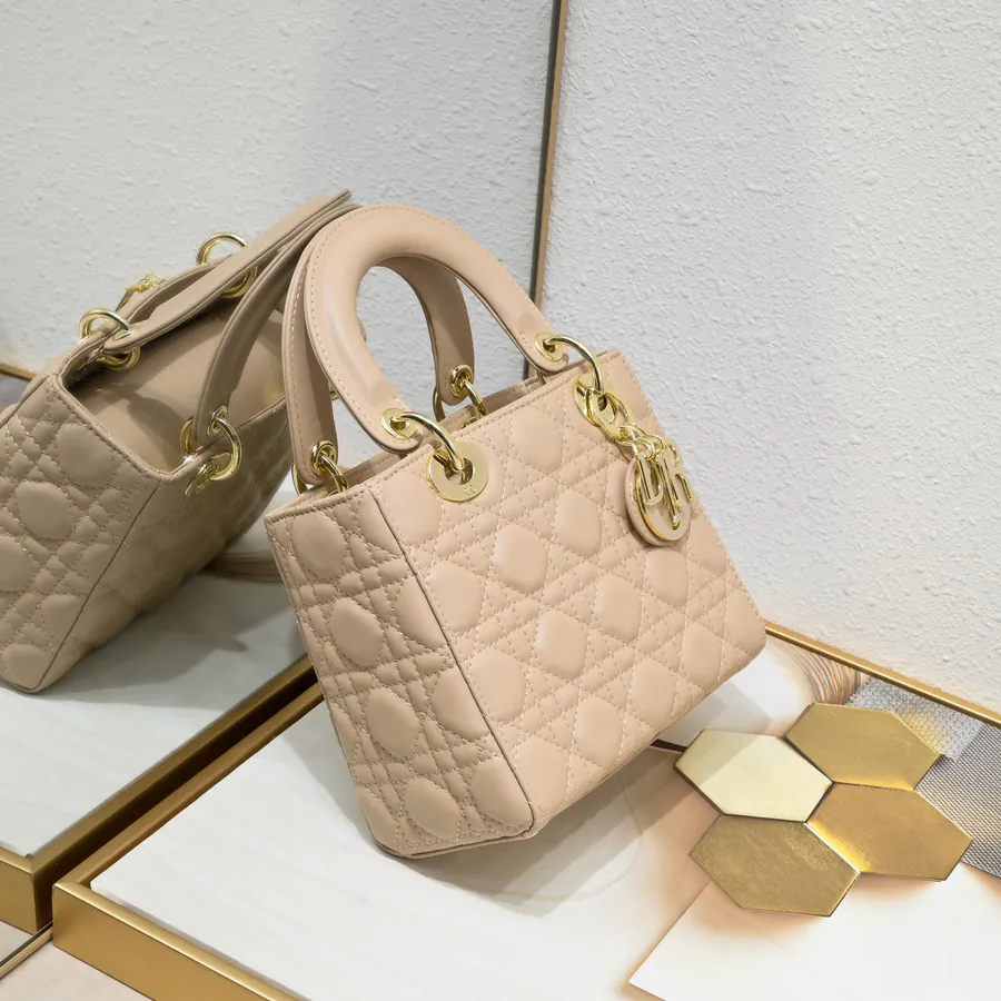 Lady Dio.r Four Compartment Calfskin Bag with Engraved Clasp