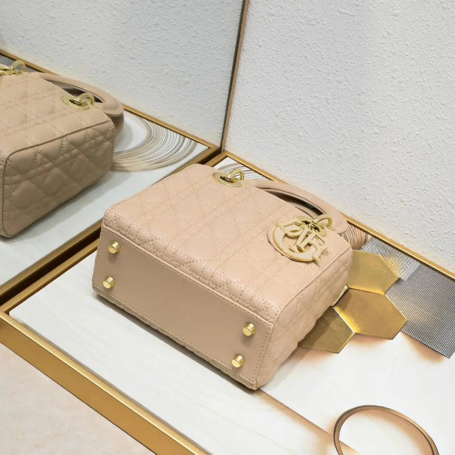 Lady Dio.r Four Compartment Calfskin Bag with Engraved Clasp