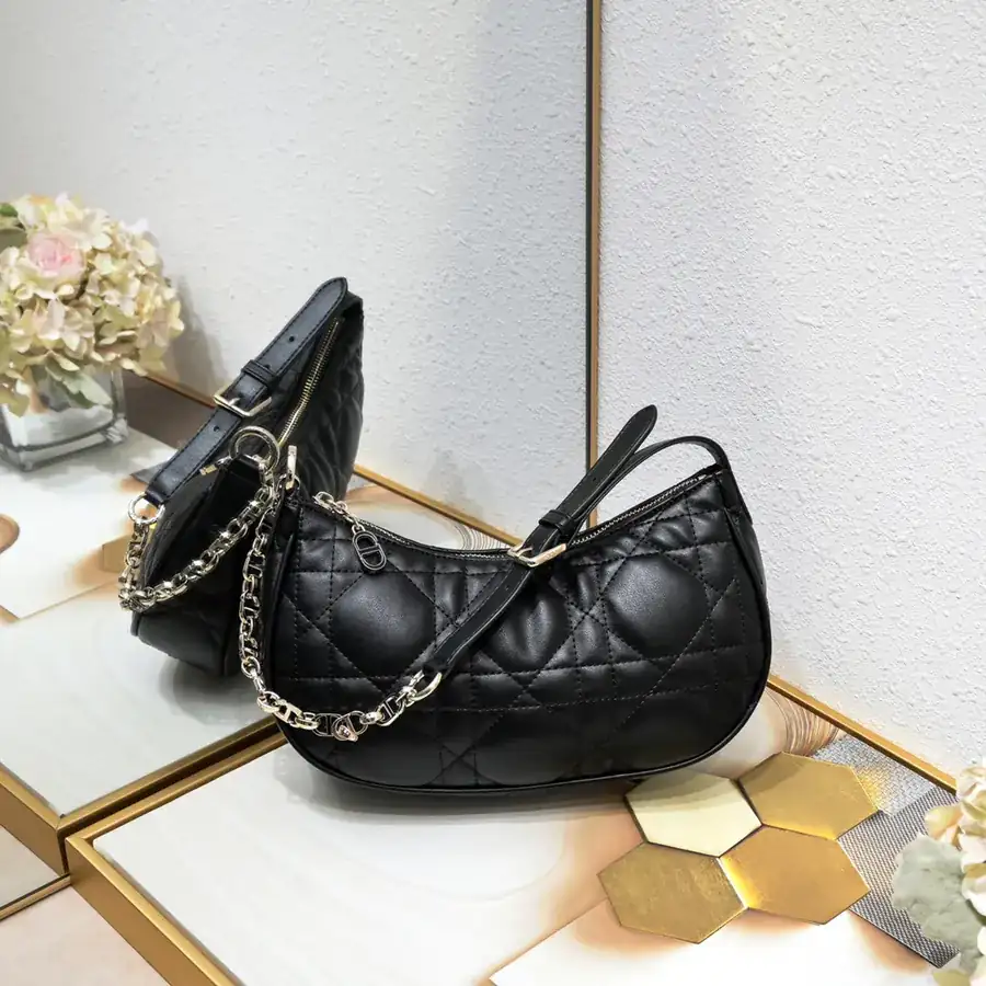 Dior CD Lounge Handbag Summer 2023 New Arrival