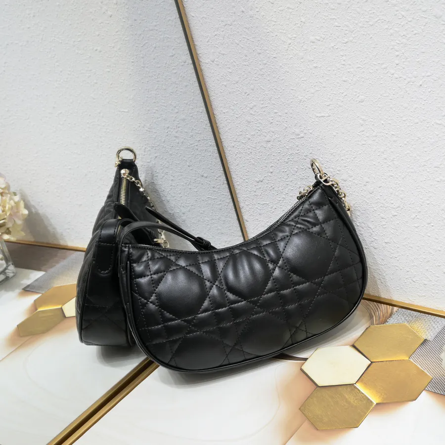 Dior CD Lounge Handbag Summer 2023 New Arrival