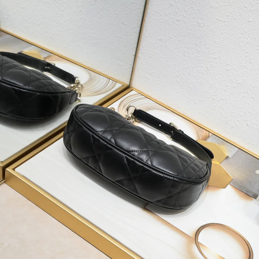 Dior CD Lounge Handbag Summer 2023 New Arrival