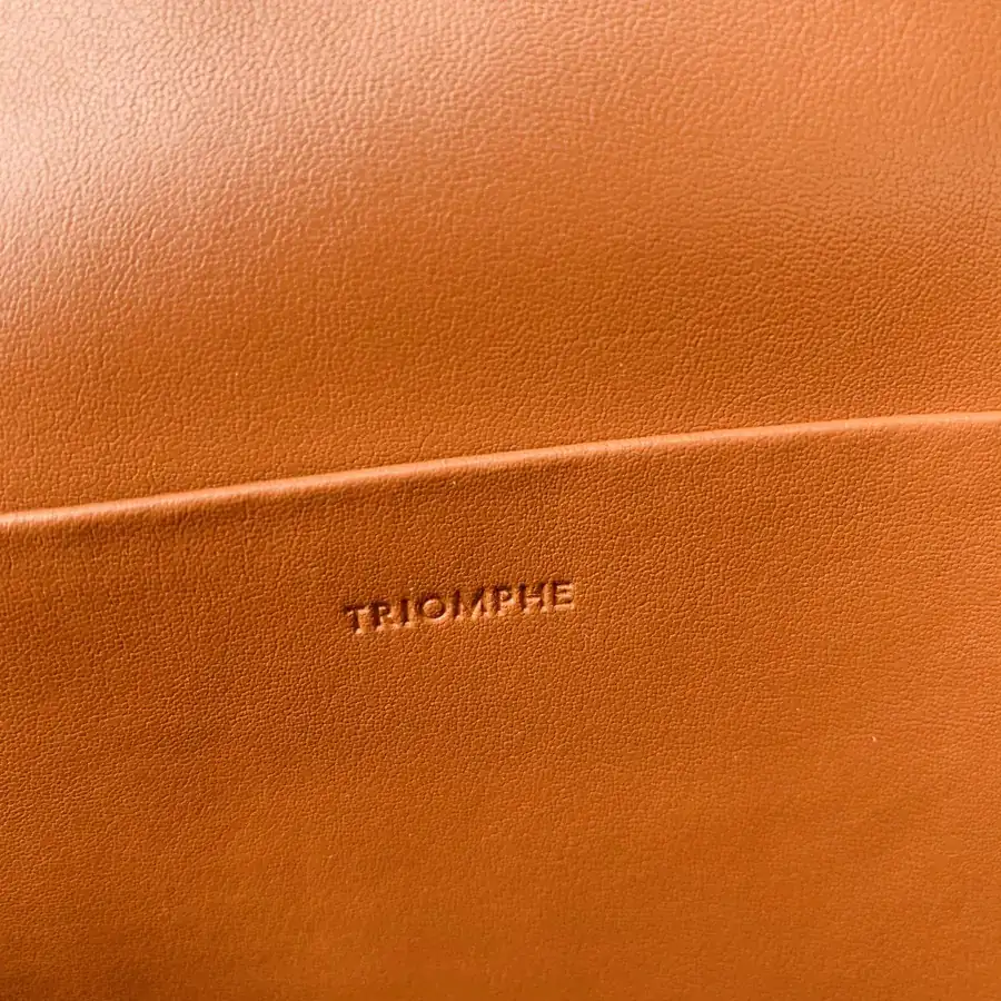 TrioMPHE Leather Shoulder Bag