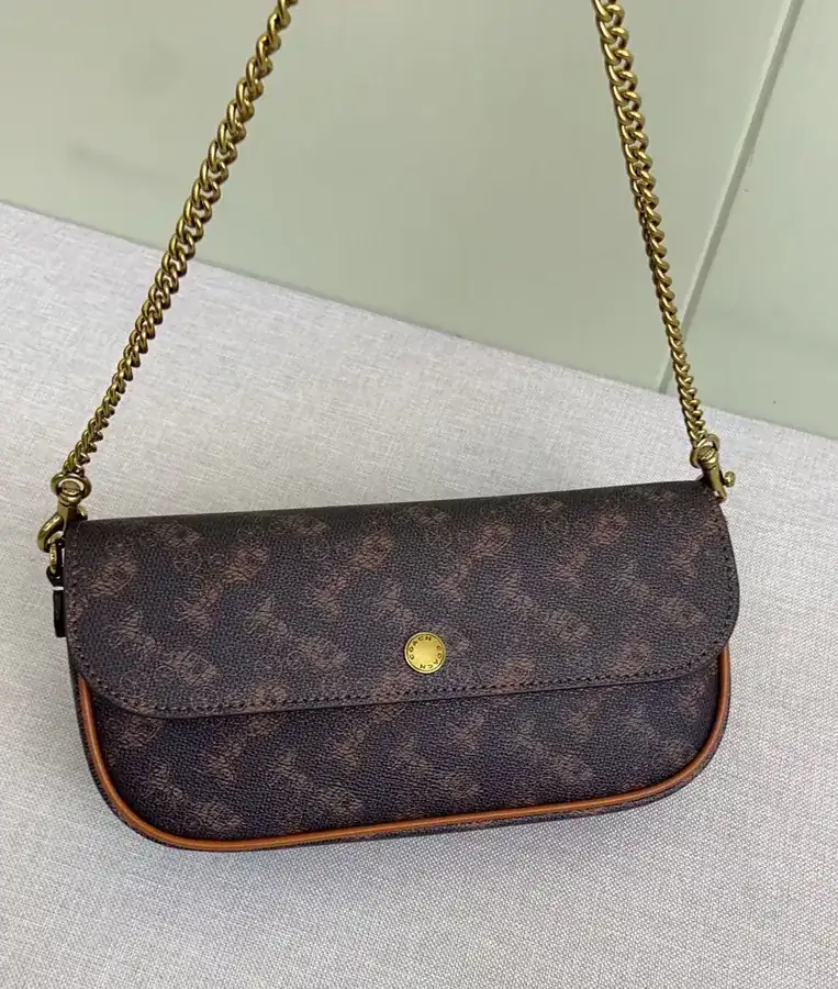 Coach 2 Month New Brook Chain Bag Lightweight and Stylish