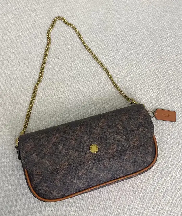 Coach 2 Month New Brook Chain Bag Lightweight and Stylish