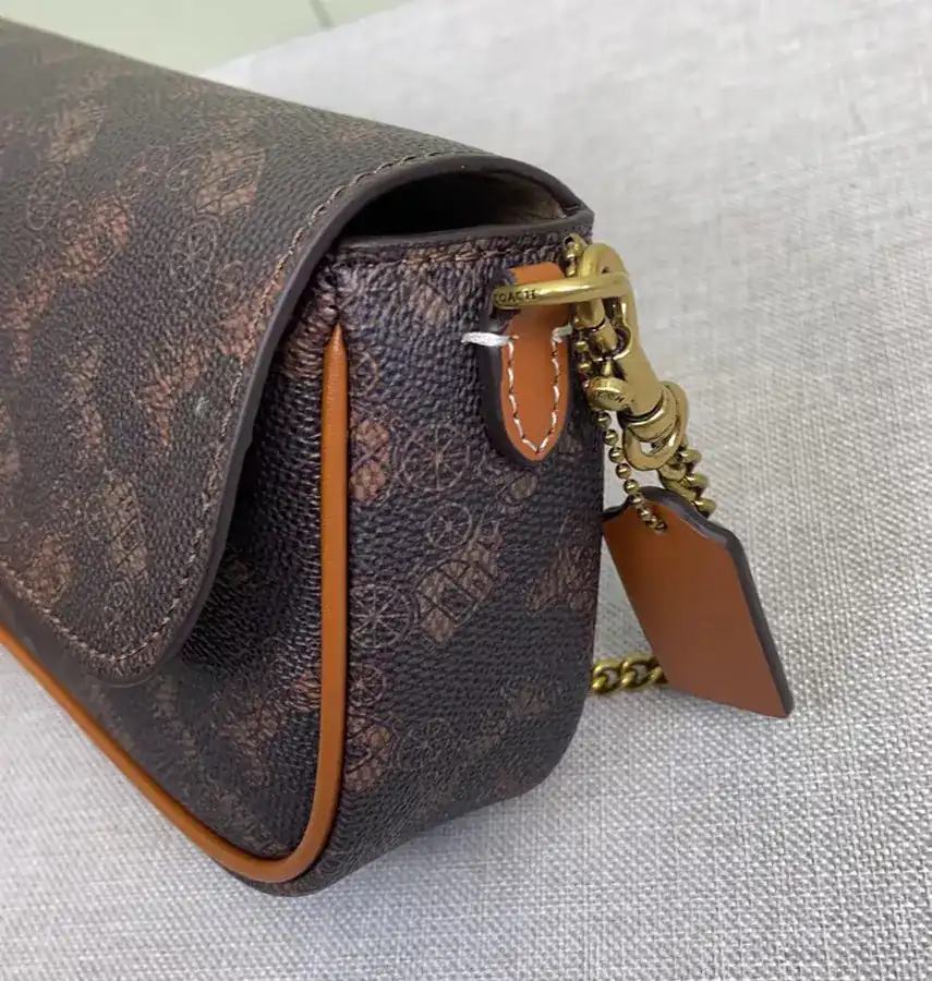 Coach 2 Month New Brook Chain Bag Lightweight and Stylish