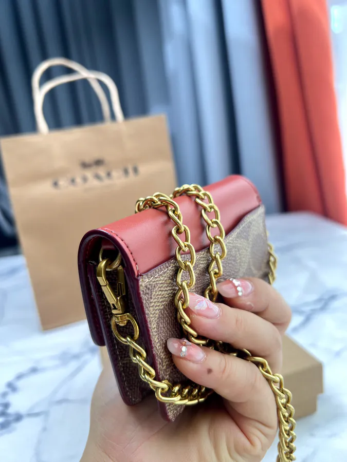 Coach Mini Print Bucket Bag with Brown Chain Strap