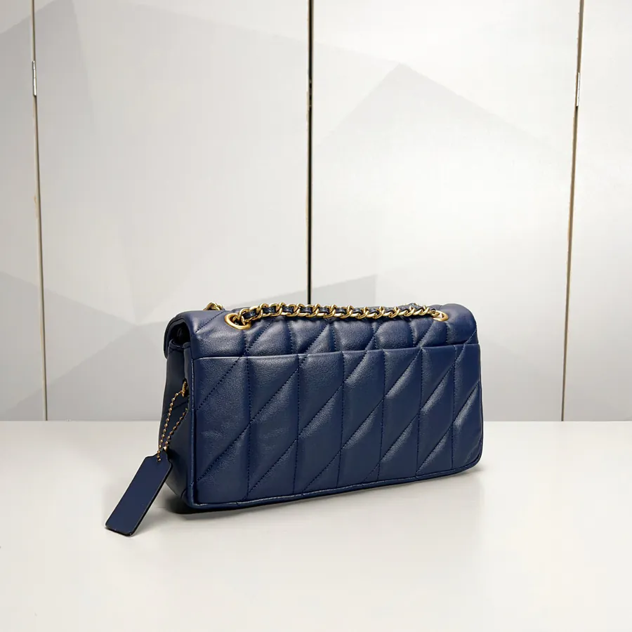 Coa New Color Bucket Bag with Chain Tabby and Grained Calfskin