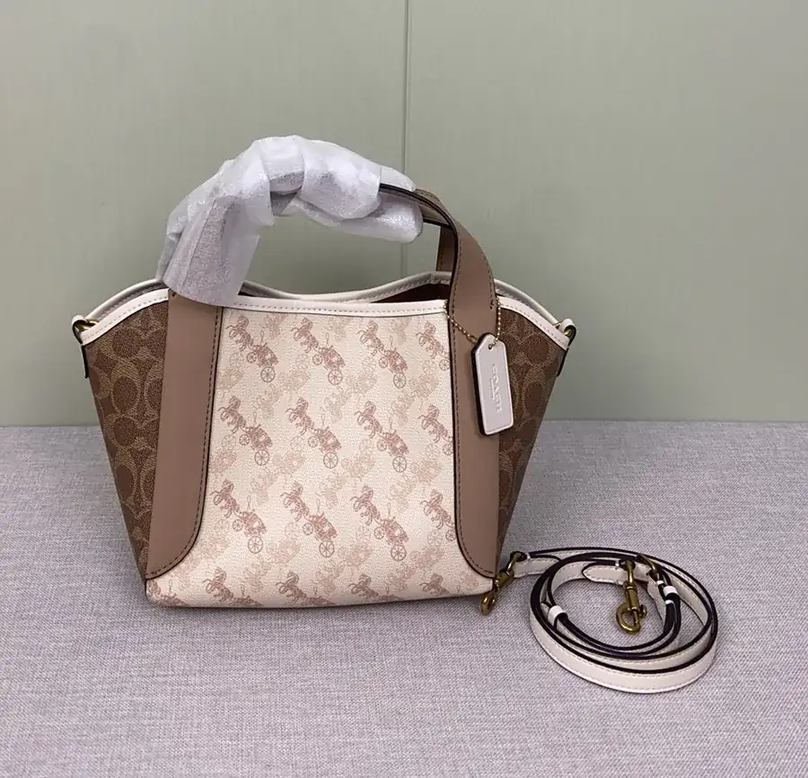 COACH HADLEY Bucket Bag in New Color