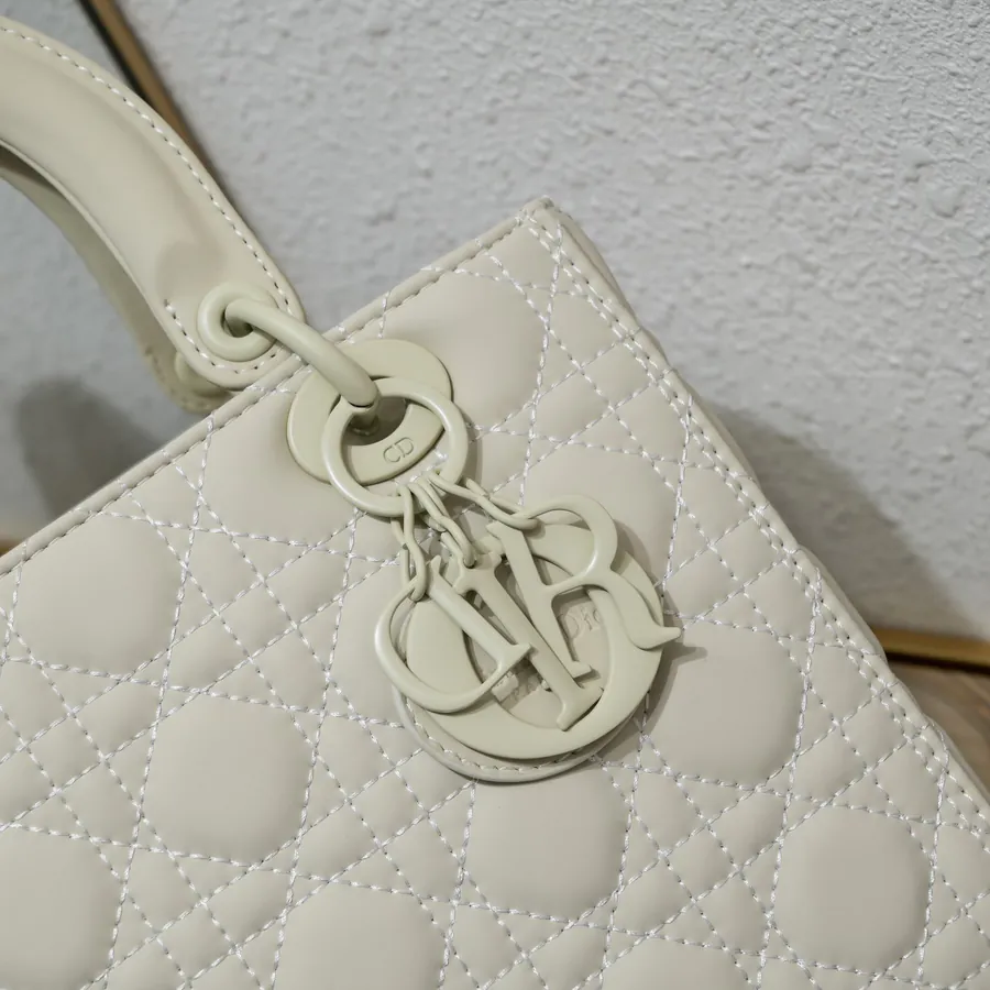 Di0r Ultra matte 2022 Model 24cm Calfskin Crossbody Bag