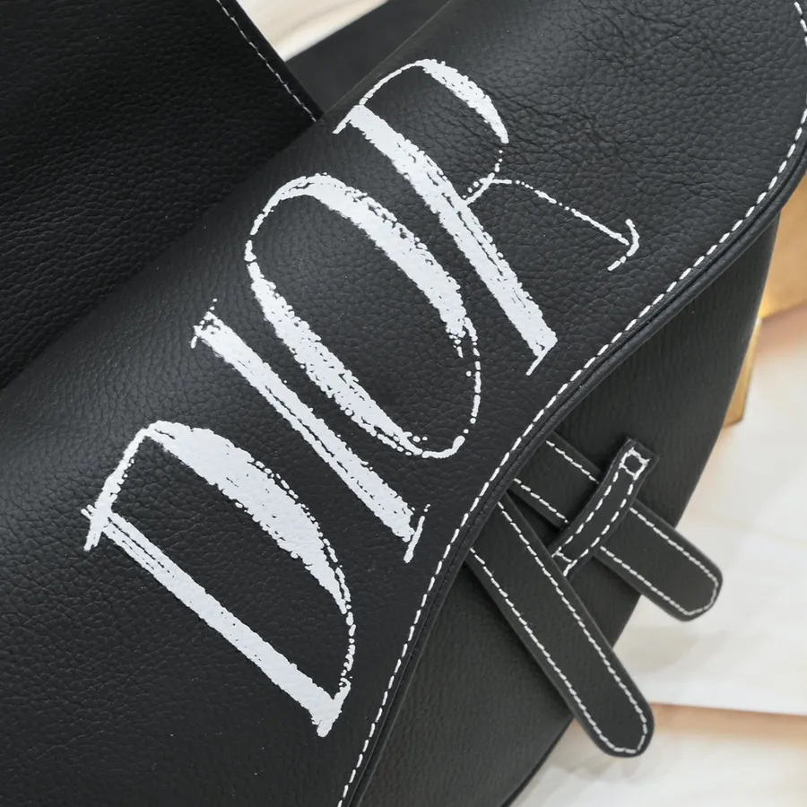 Homme Saddle Bag 2024 Pre Fall Collection