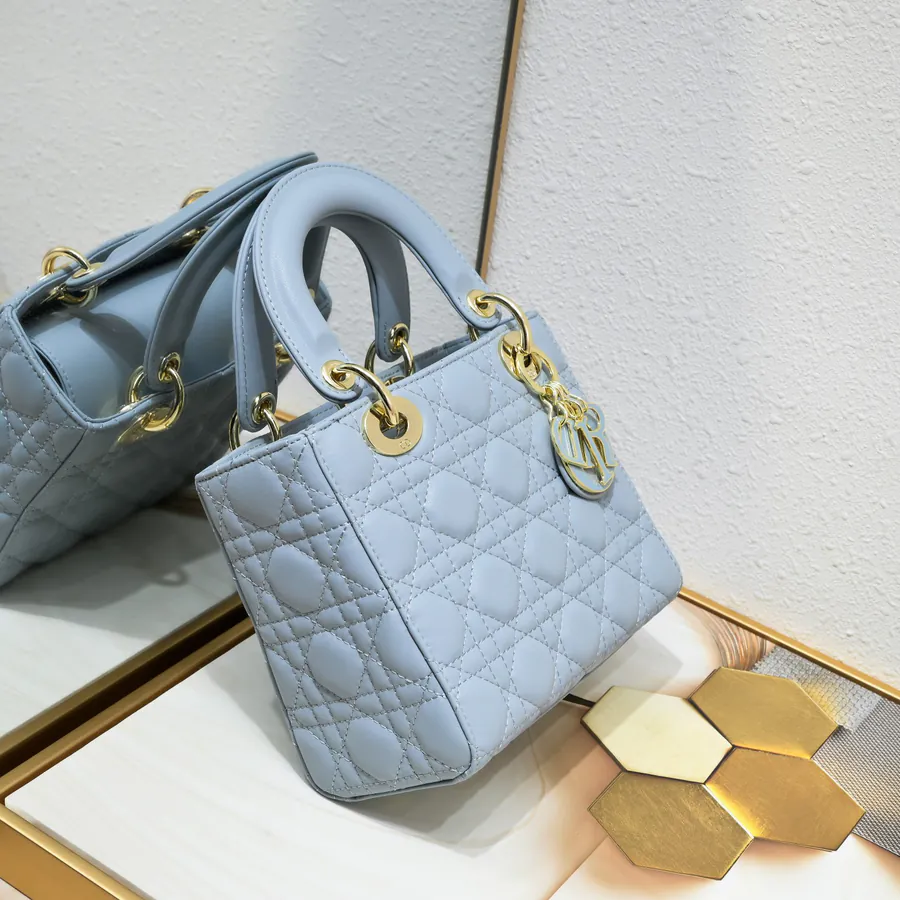 Lady Dio.r Four Compartment Calfskin Bag with Engraved Clasp