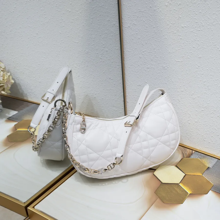 Dior CD Lounge Tote Summer 2023 New Arrival