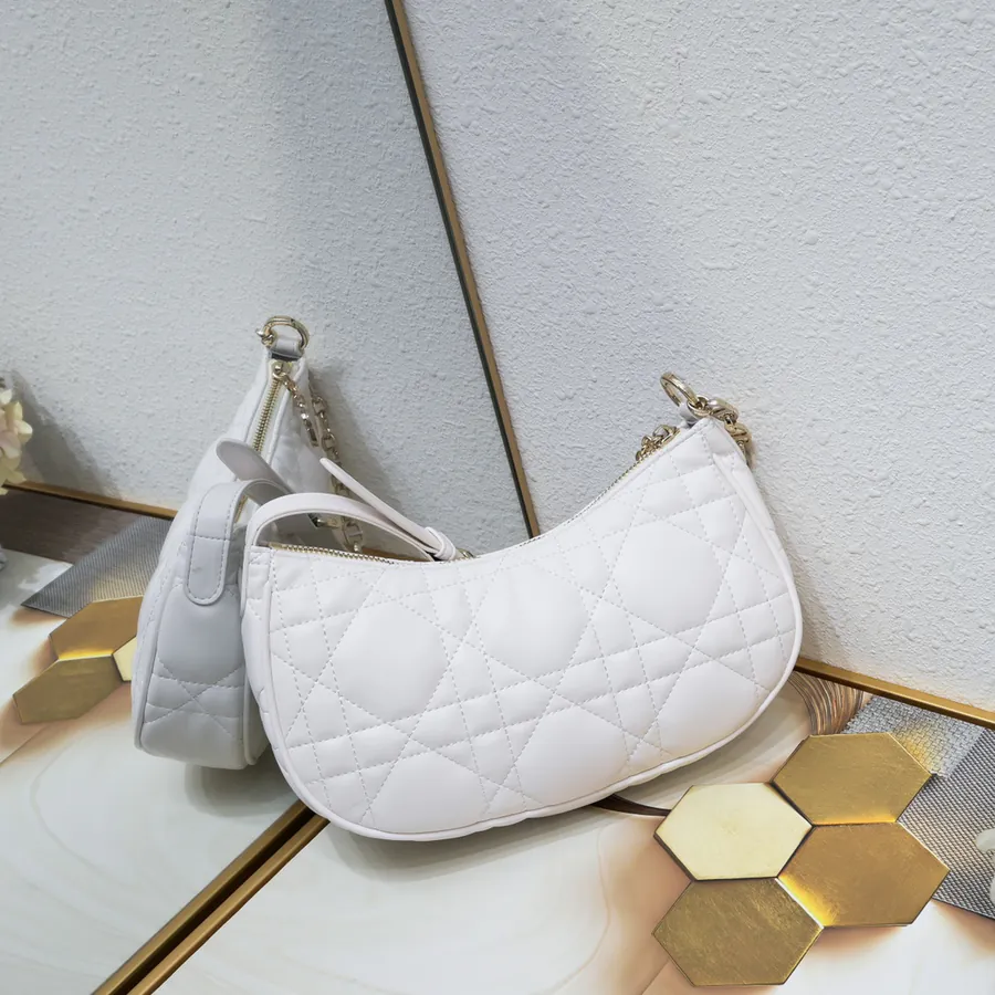 Dior CD Lounge Tote Summer 2023 New Arrival