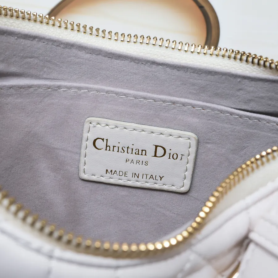 Dior CD Lounge Tote Summer 2023 New Arrival