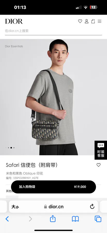 Safari Messenger Bag with Strap Black Oblique Print