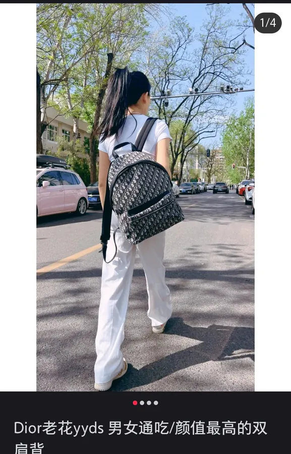 Dior Rider Backpack Minimalist Silhouette, Classic Style