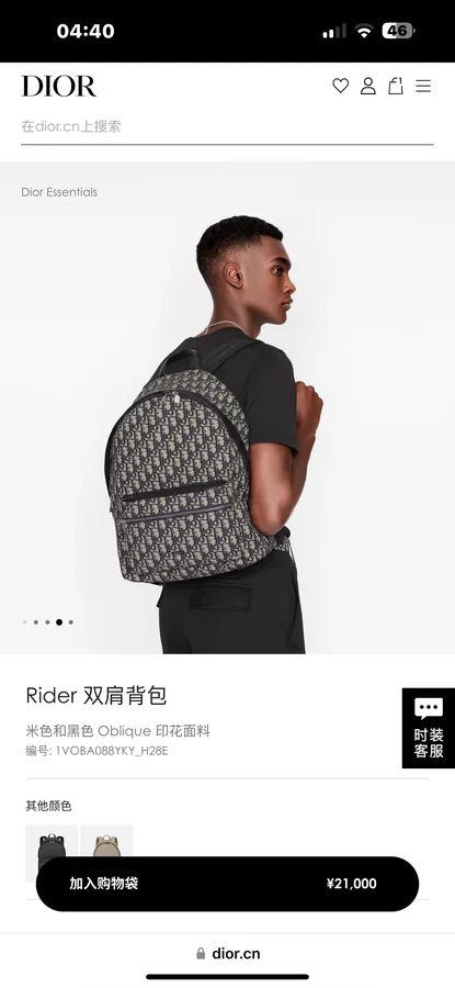 Dior Rider Backpack Minimalist Silhouette, Classic Style