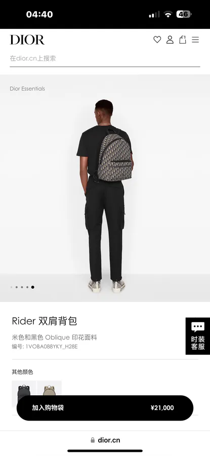 Dior Rider Backpack Minimalist Silhouette, Classic Style