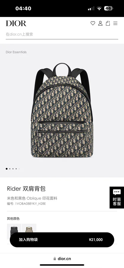 Dior Rider Backpack Minimalist Silhouette, Classic Style