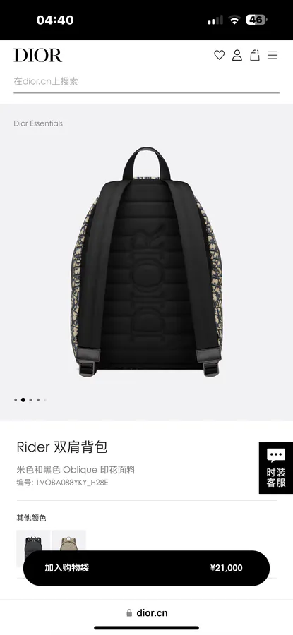 Dior Rider Backpack Minimalist Silhouette, Classic Style