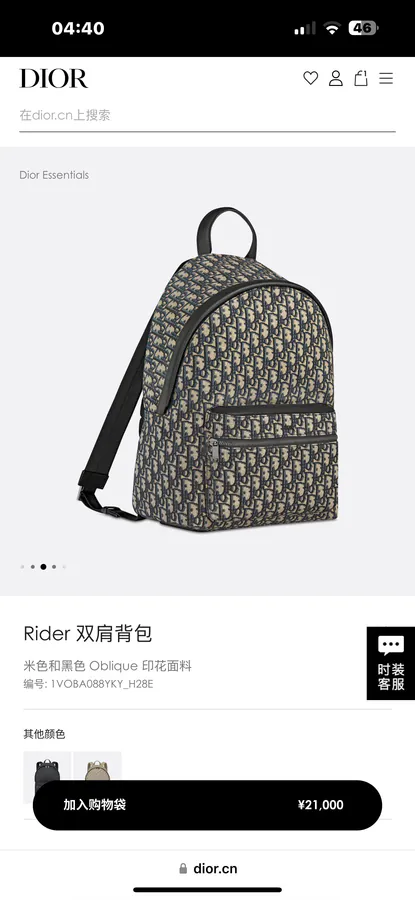 Dior Rider Backpack Minimalist Silhouette, Classic Style
