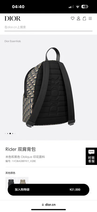 Dior Rider Backpack Minimalist Silhouette, Classic Style