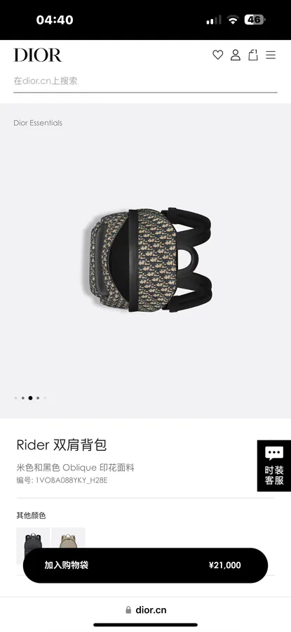 Dior Rider Backpack Minimalist Silhouette, Classic Style