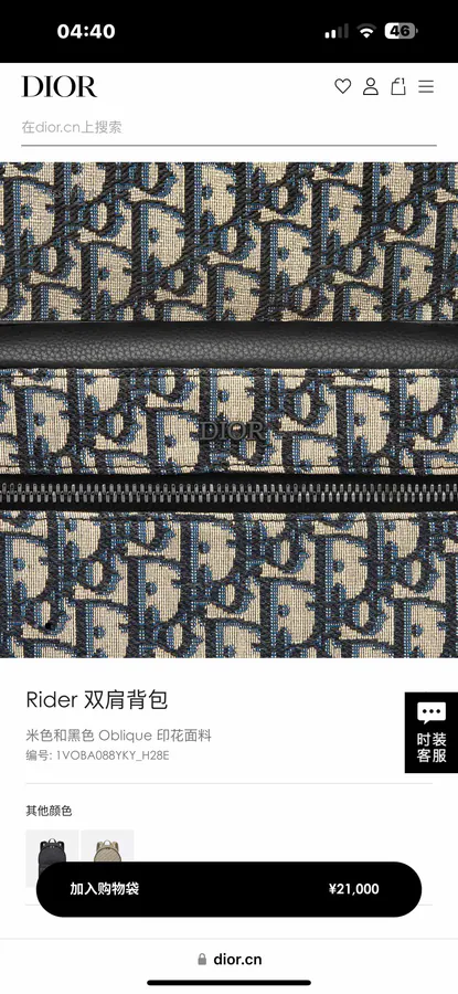 Dior Rider Backpack Minimalist Silhouette, Classic Style