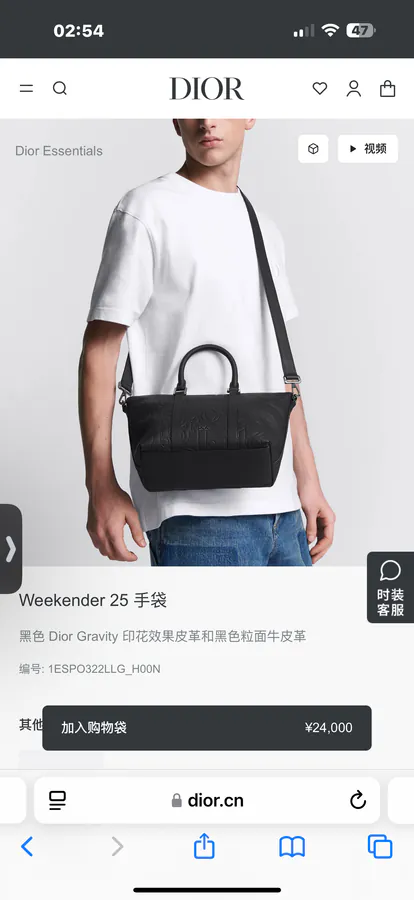 Dior Weekender 25 Handbag Classic Elegance