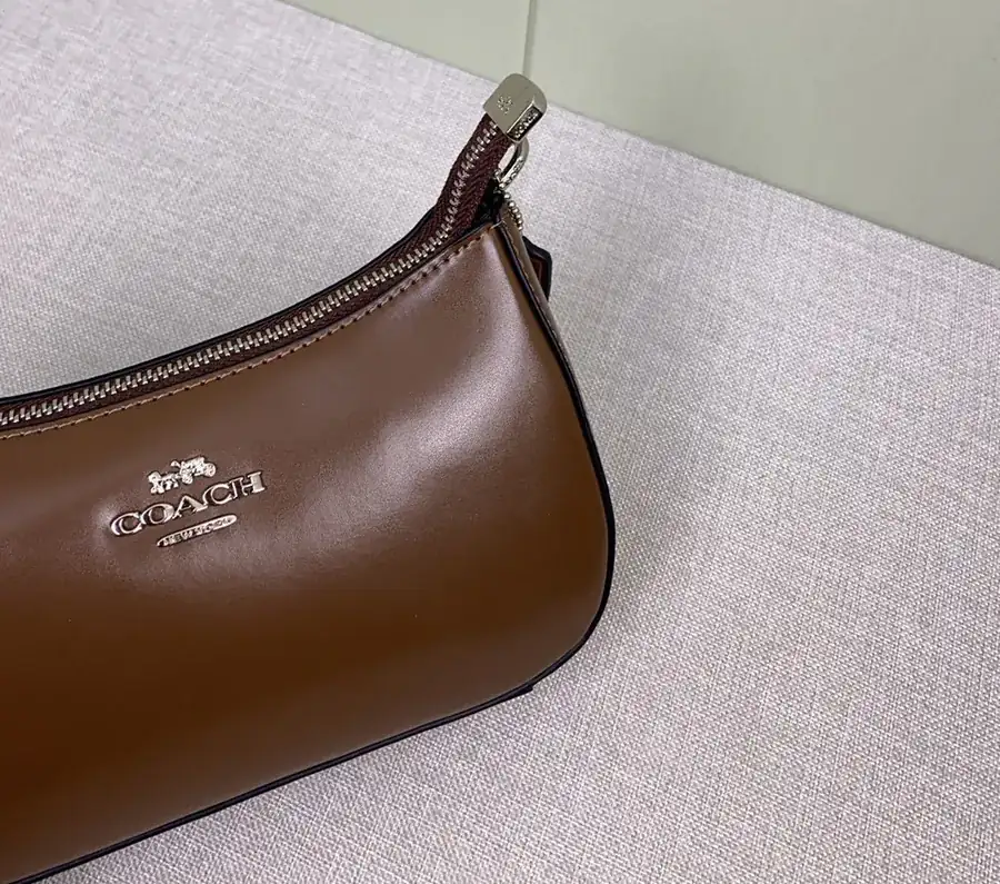 COACH Teri Crossbody Bag Chocolate Color