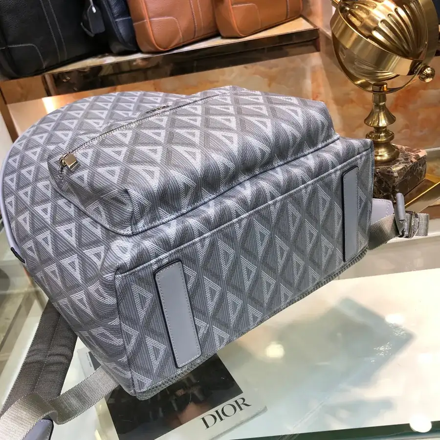 Dior Rider Backpack Classic College Style with Grained Calfskin Trim