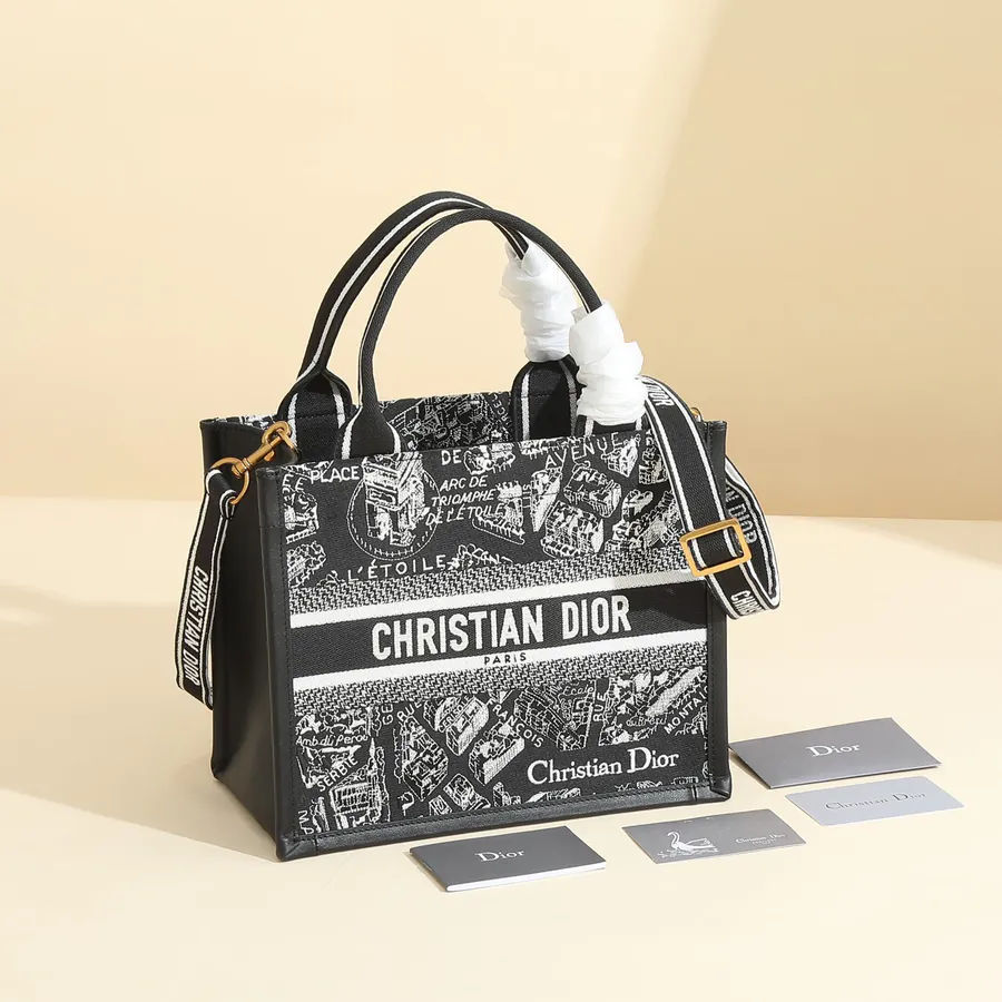 Maria Grazia Chiuri Paris Map Mini Book Tote