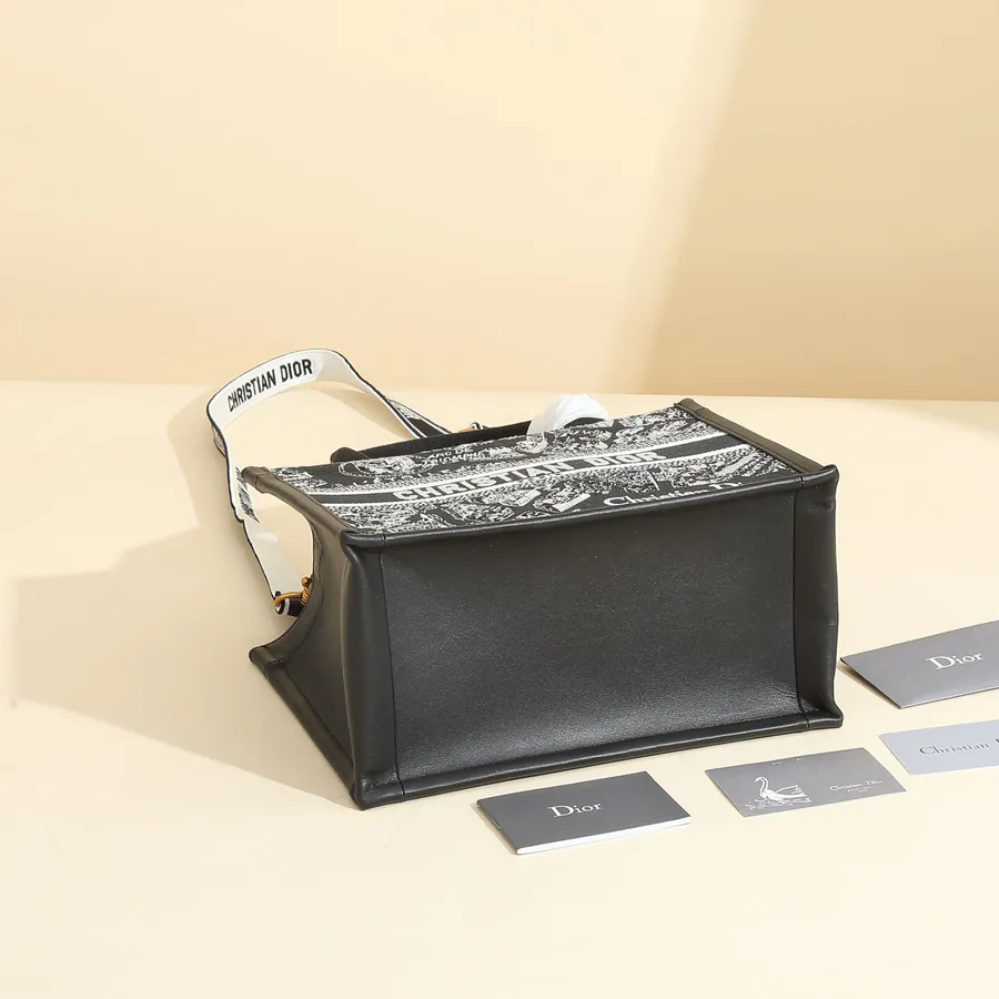 Maria Grazia Chiuri Paris Map Mini Book Tote