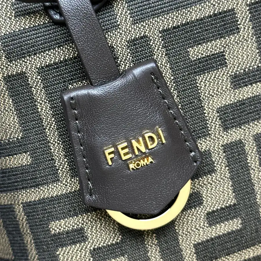 By The Way Soft Mini Handbag with Brown FF Embroidery
