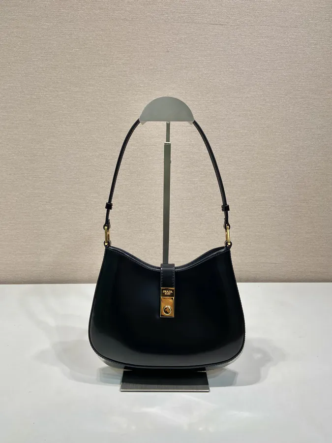 Cheo Shoulder Bag Premium Glossy Calfskin, Versatile Design