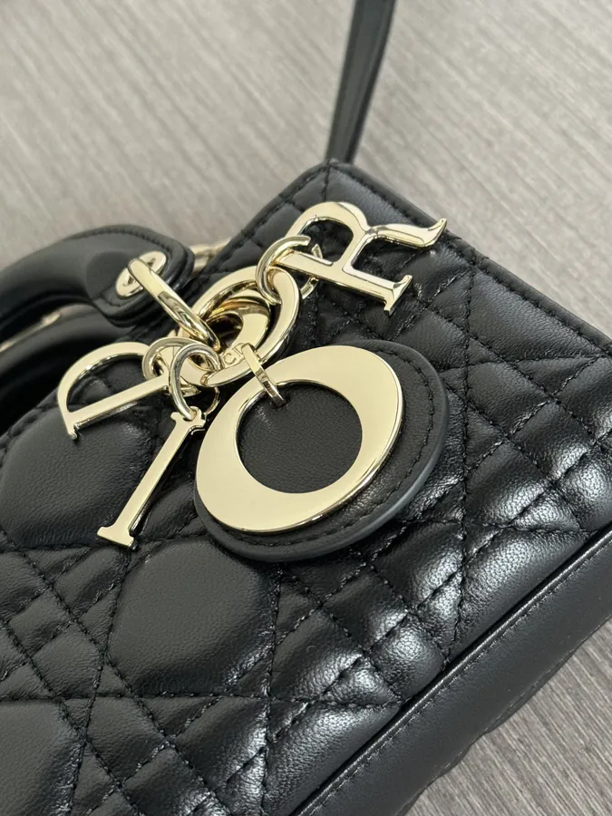 Dior Lady D Joy Mini Tote Minimalist Elegance