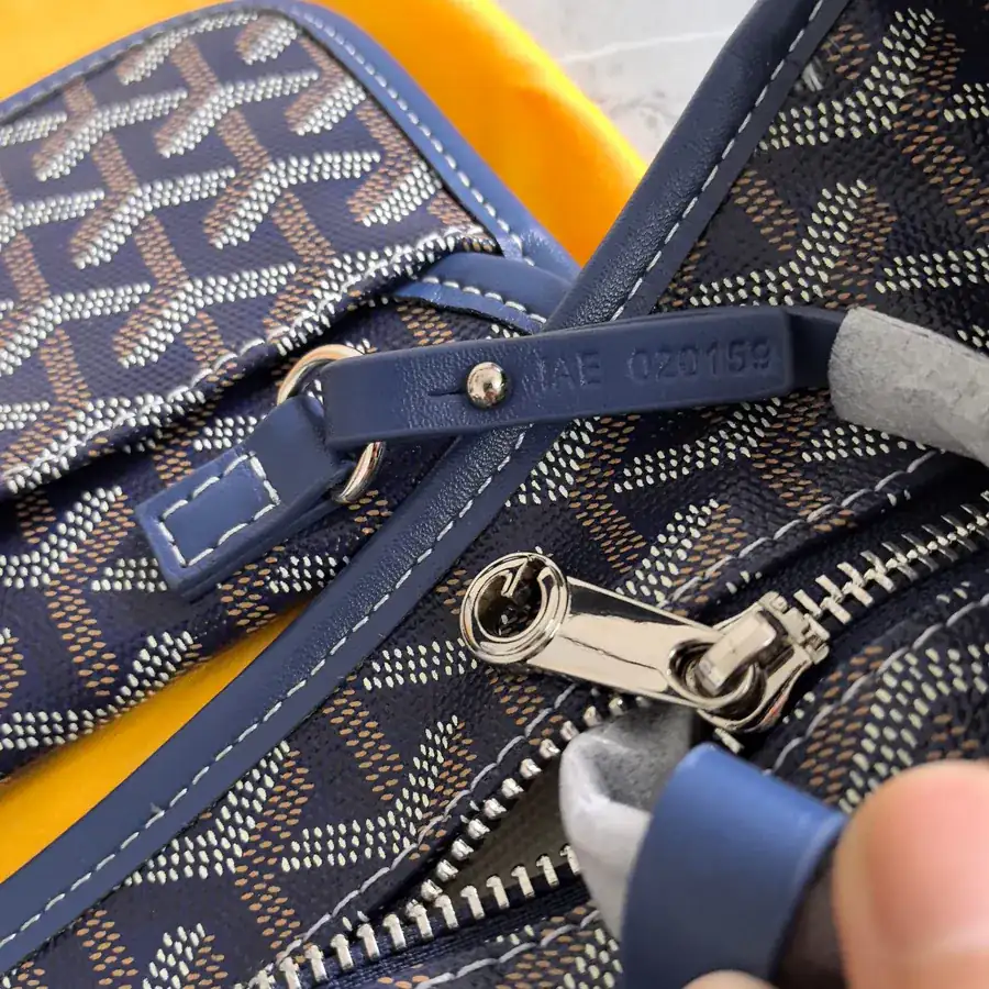 Goyard Hobo with Silk Print, Elegant and Casual