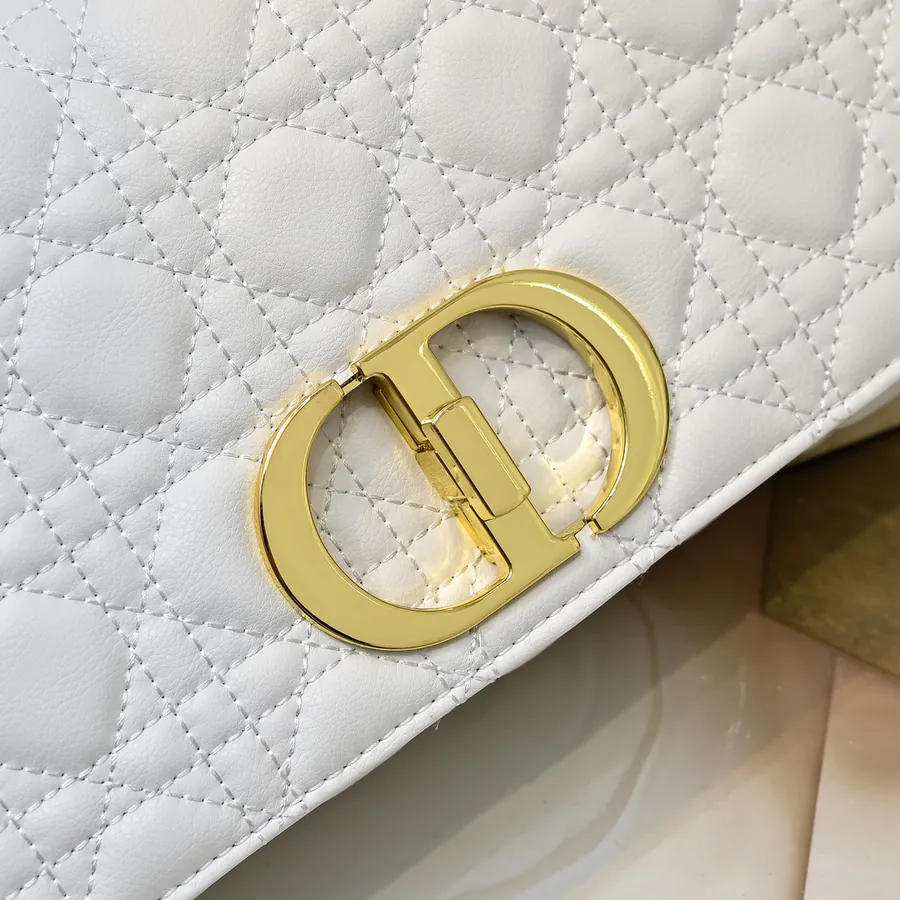 Dior Latch Five Compartment New Grained Calfskin Bag
