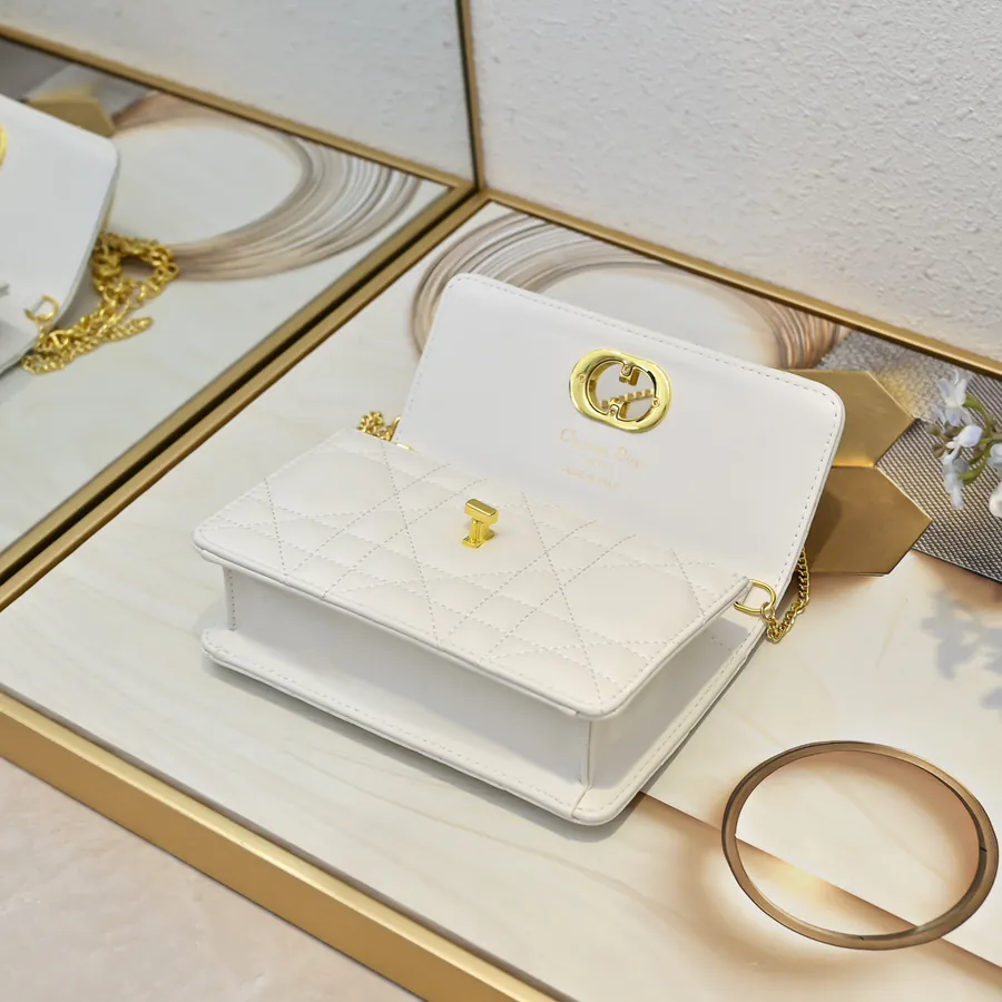 Miss Caro Chain Bag with Retro Gold Closure
