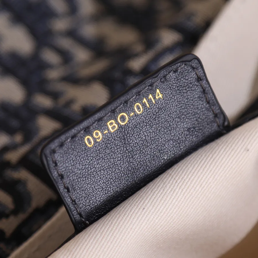 CD Besace Handbag 2024 Spring Summer Collection, Mini Size