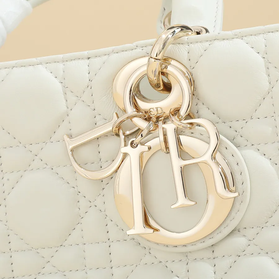 Dior Lady D'Joys Bucket Bag in Grained Calfskin