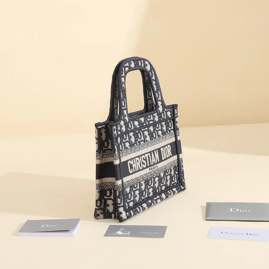 Maria Grazia Chiuri Book Tote Mini Size
