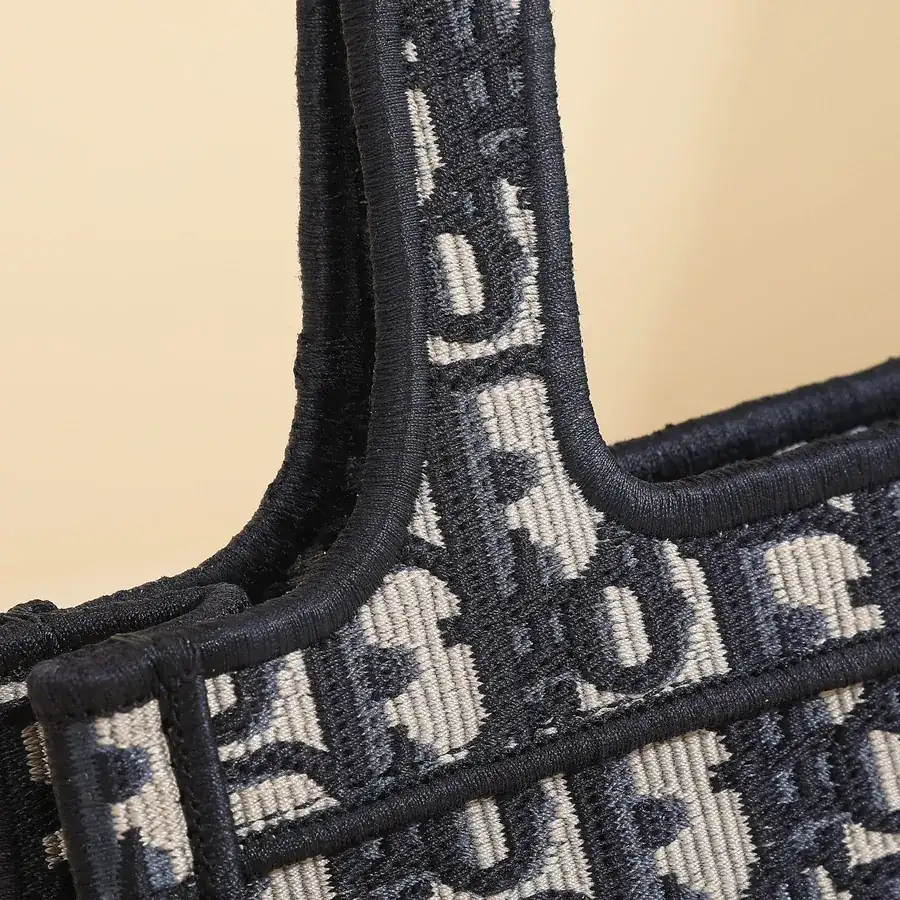 Maria Grazia Chiuri Book Tote Mini Size