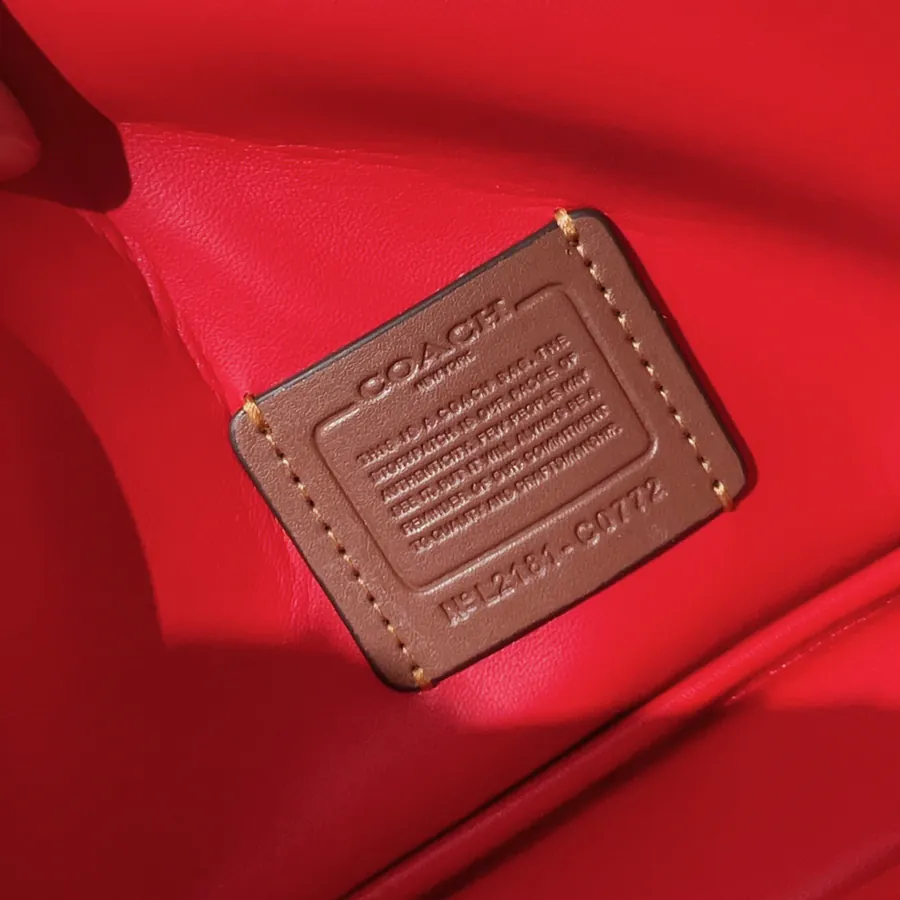 C Family New Year Red Pillow Tabby Calfskin Crossbody Bag