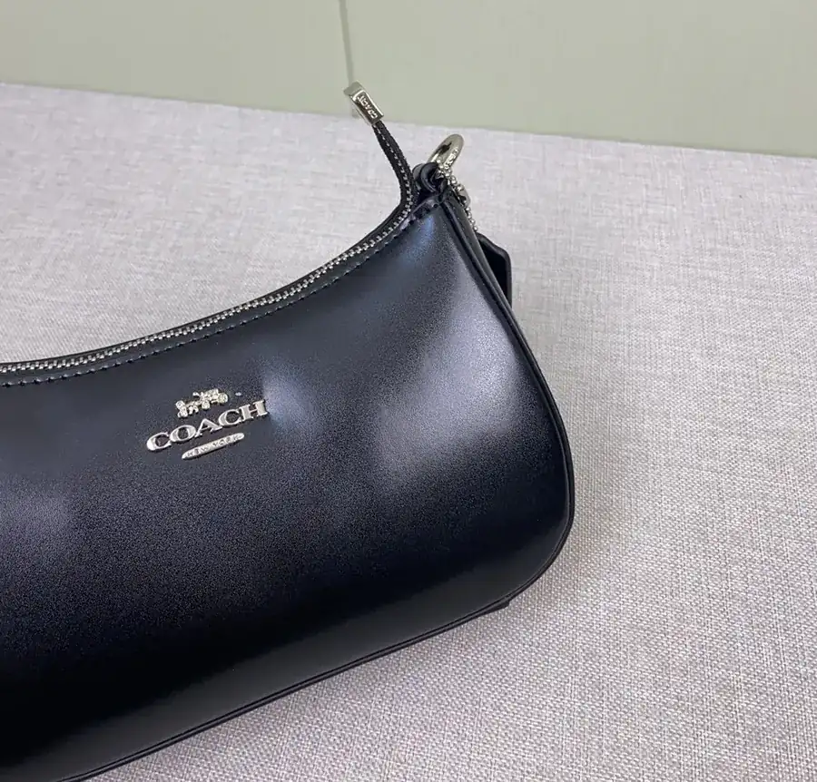 COACH Teri Crossbody Bag Chocolate Color