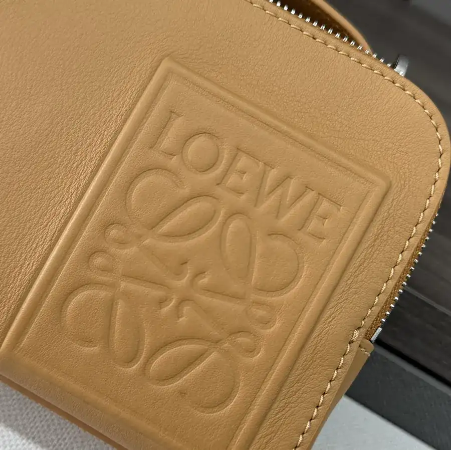 Lwew New Mini Crossbody Camera Bag